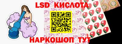 СК Кандалакша