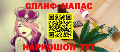 ешки Камышлов