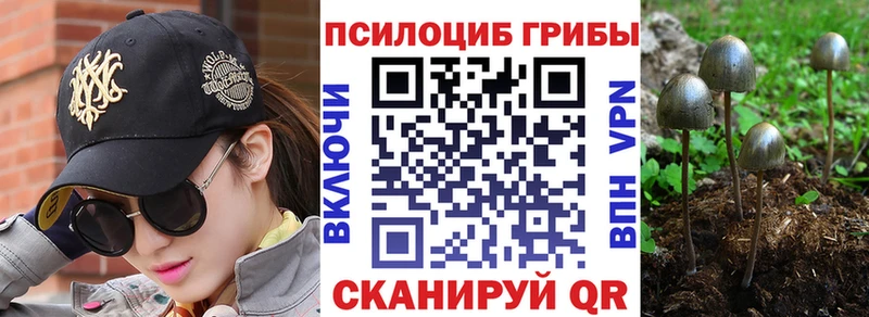 это состав  Малгобек  Галлюциногенные грибы ЛСД 